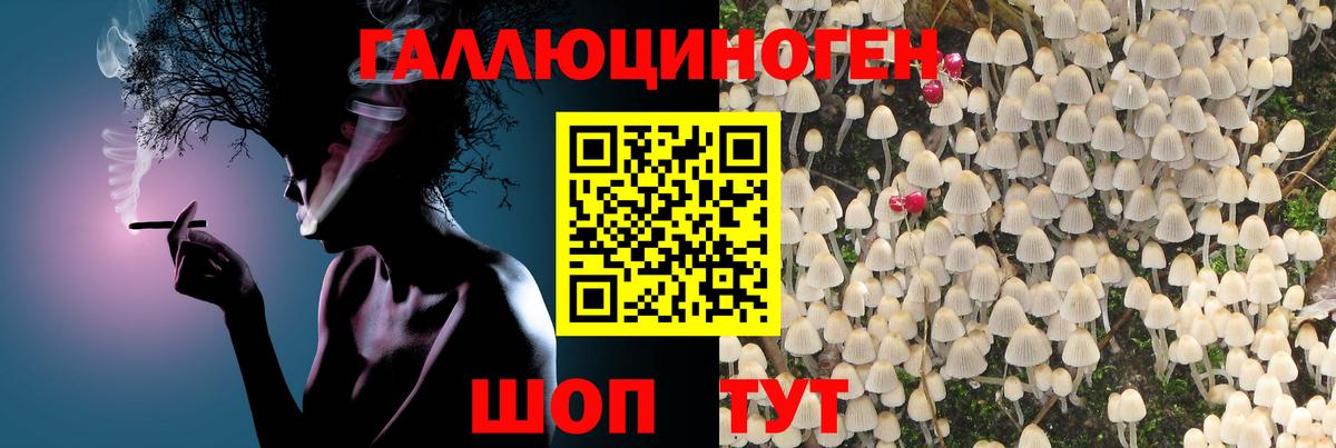Псилоцибиновые грибы мухоморы Камень-на-Оби